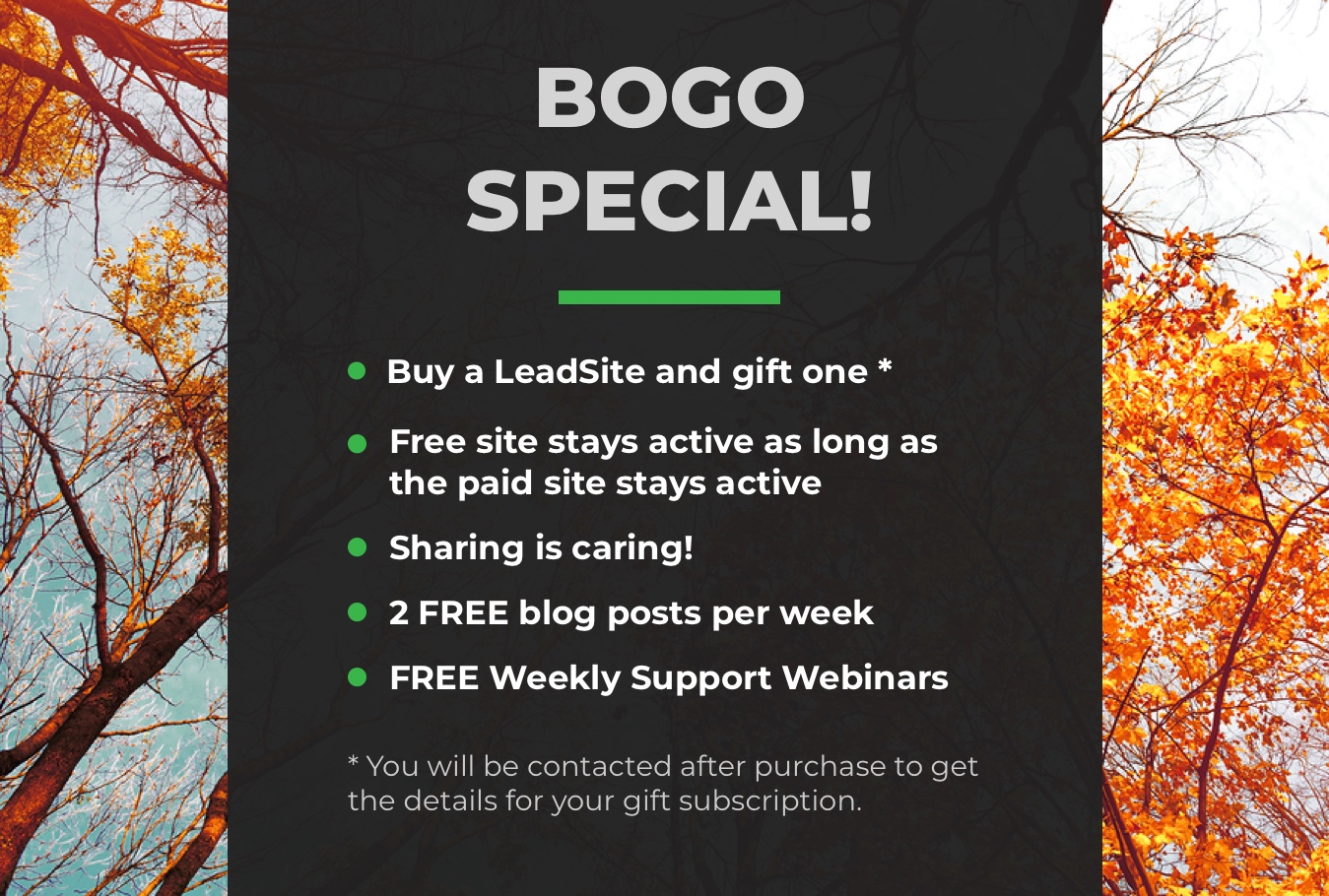 LeadSites Promo